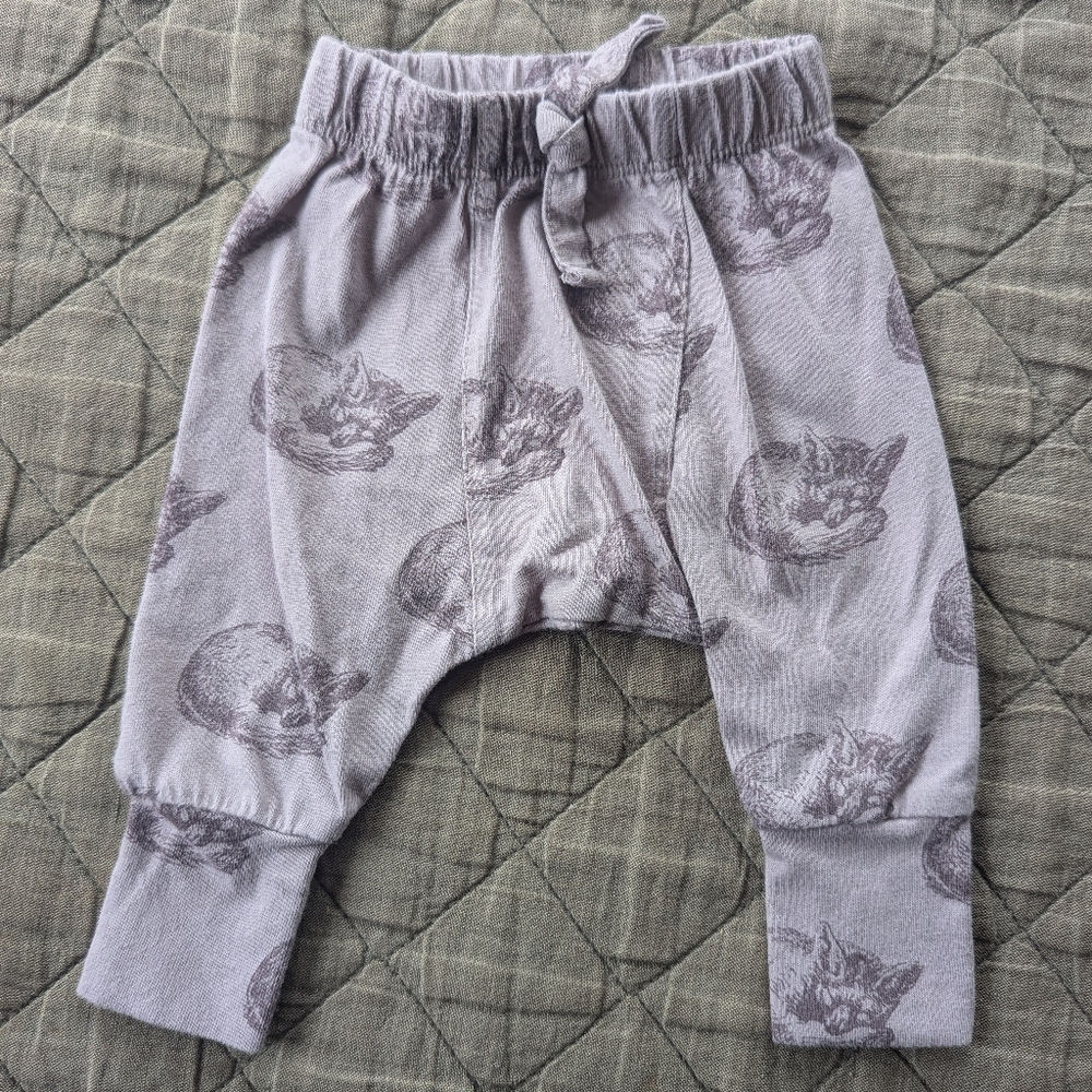 Organic Cotton Fox Print Pants